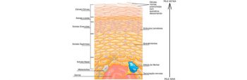 O que é Melasma Saiba tudo sobre esta condição Blog Fisioterapia