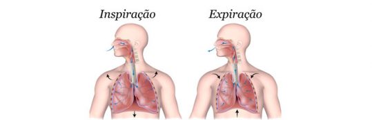 Saiba Tudo Sobre a Fisioterapia Respiratória na Pediatria