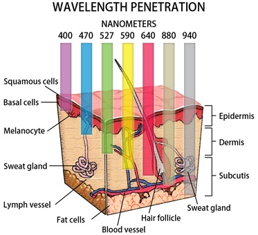 Depilação a Laser vs. Fotodepilação: Entenda as Diferenças