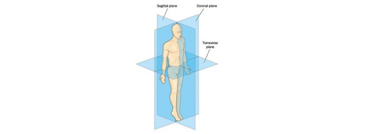 Planos De Movimento: Quais Os Efeitos Nos Movimentos Tridimensionais?