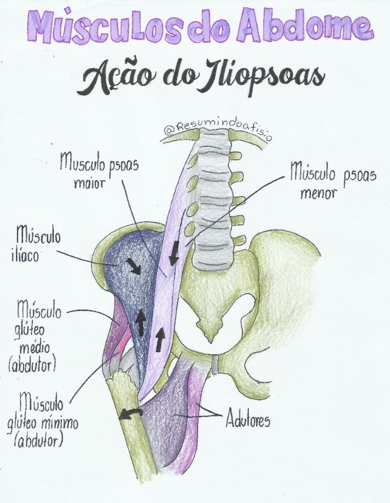 músculo-iliopsoas