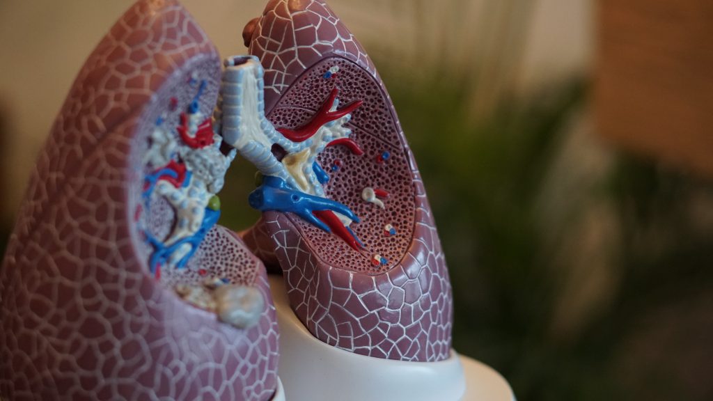 pulmão-complicações-respiratorias